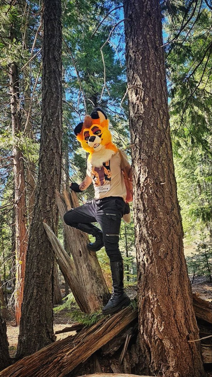 🌹Scruffy Ryker🥀 🔜FWA tweet media