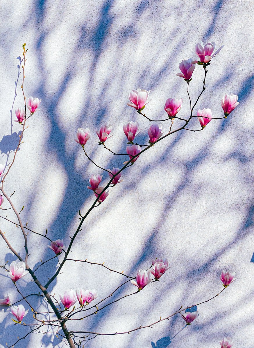 Max Tereshchenko tweet media