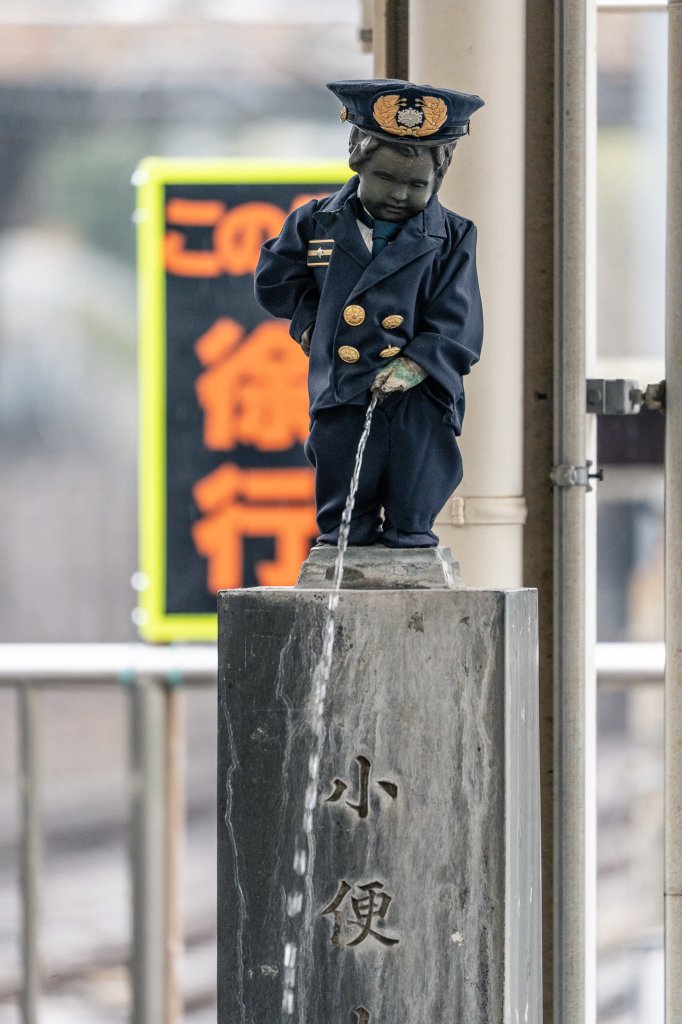 ここにゃんXZ＠🤍💜 tweet media