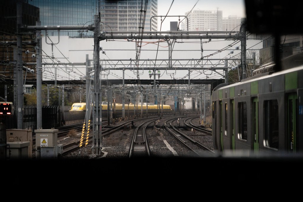 ここにゃんXZ＠🤍💜 tweet media