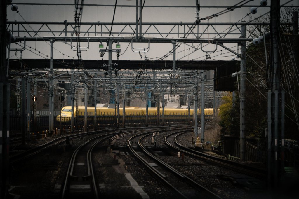 ここにゃんXZ＠🤍💜 tweet media