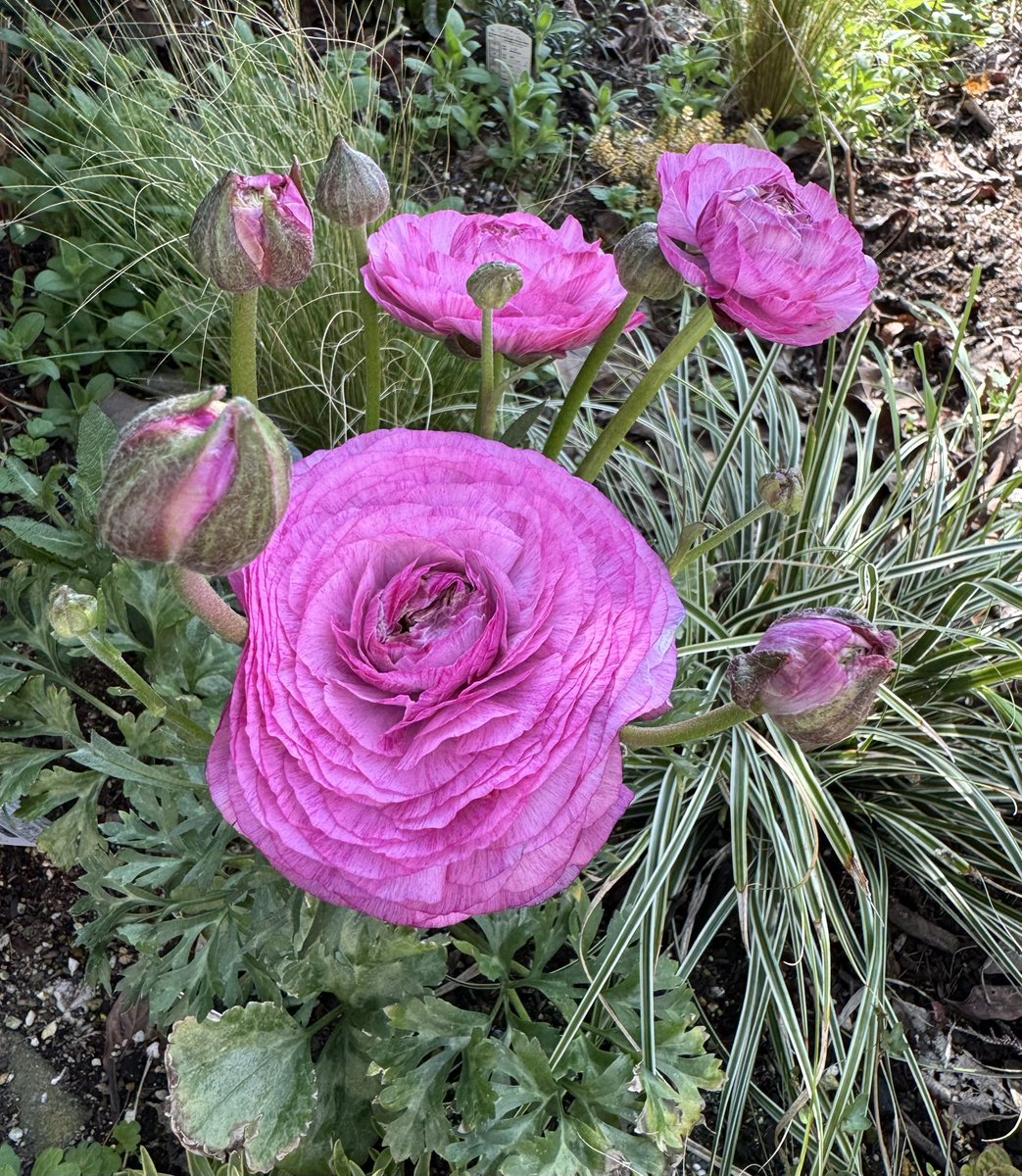 mai✰︎·̩͙ tweet media