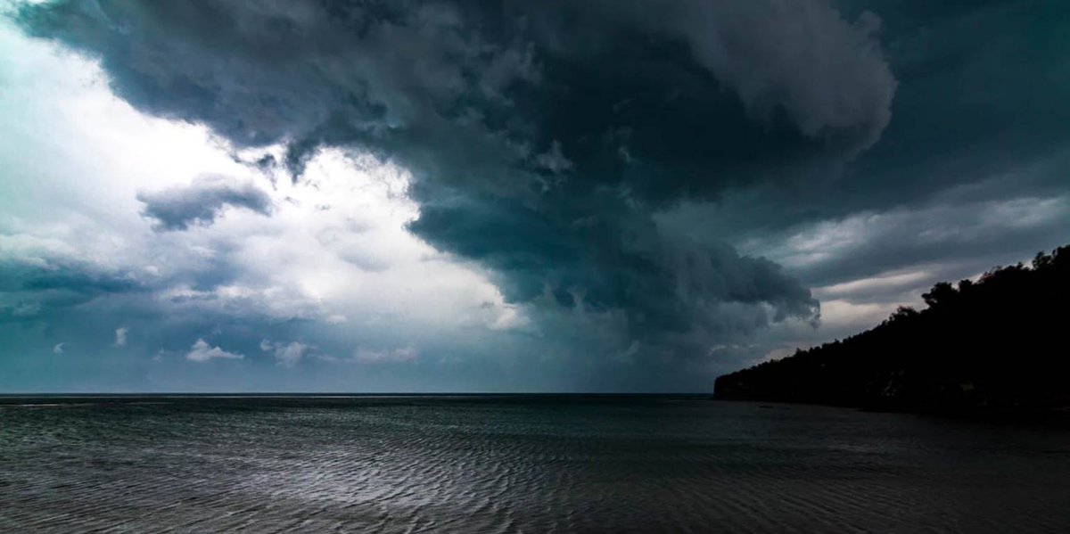 MeaCulpa.gr tweet media