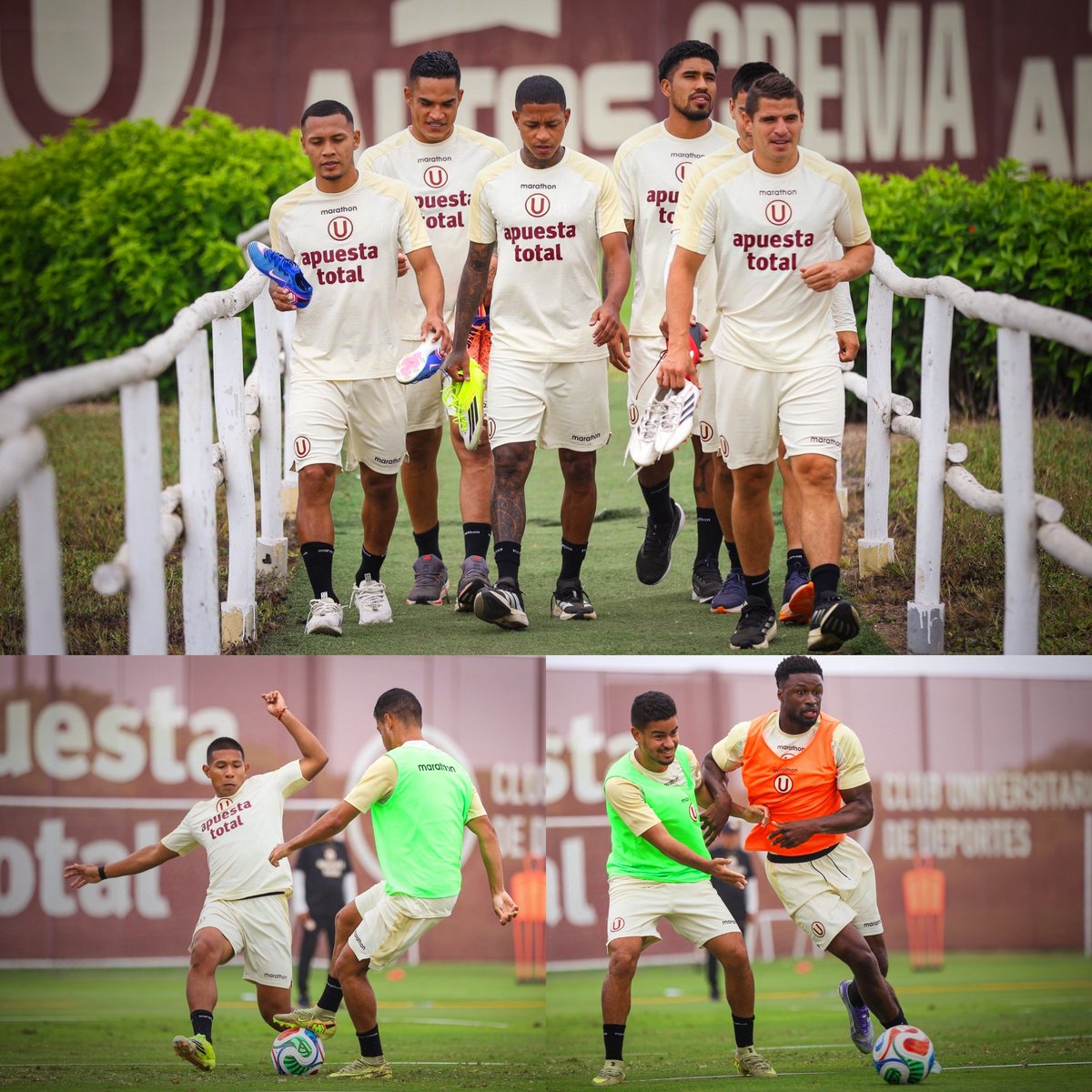 Fiesta TribUnera tweet media