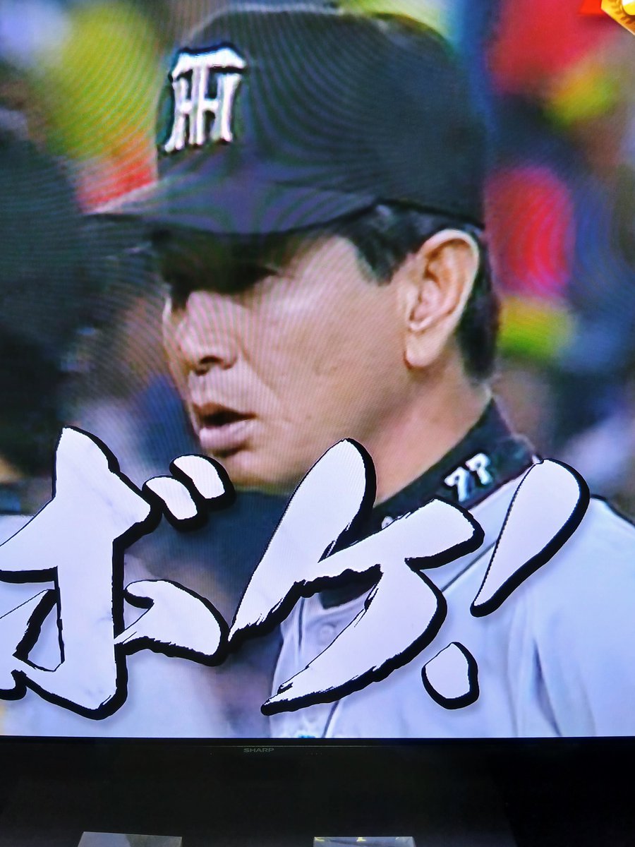 🌻りん🌻 tweet media