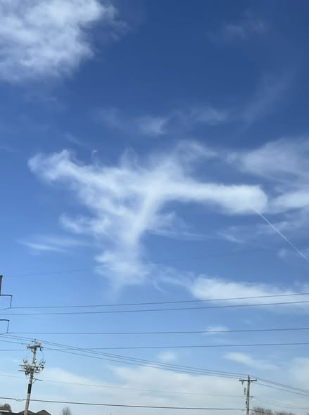 Tiffanyvobeqay's tweet image. No filter needed for these beauties I captured.📷📷📷📷📷