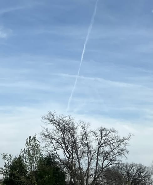 Tiffanyvobeqay's tweet image. No filter needed for these beauties I captured.📷📷📷📷📷