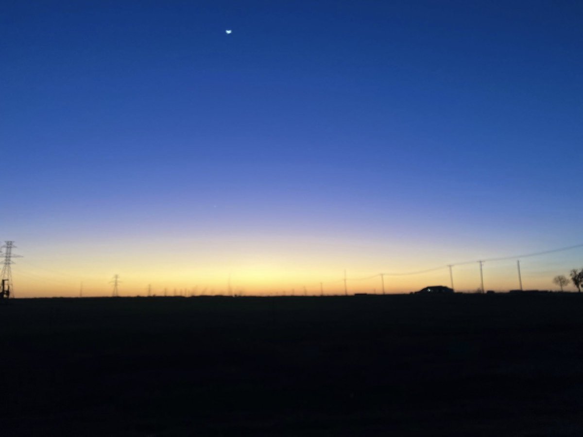 Tiffanyvobeqay's tweet image. No filter needed for these beauties I captured.📷📷📷📷📷