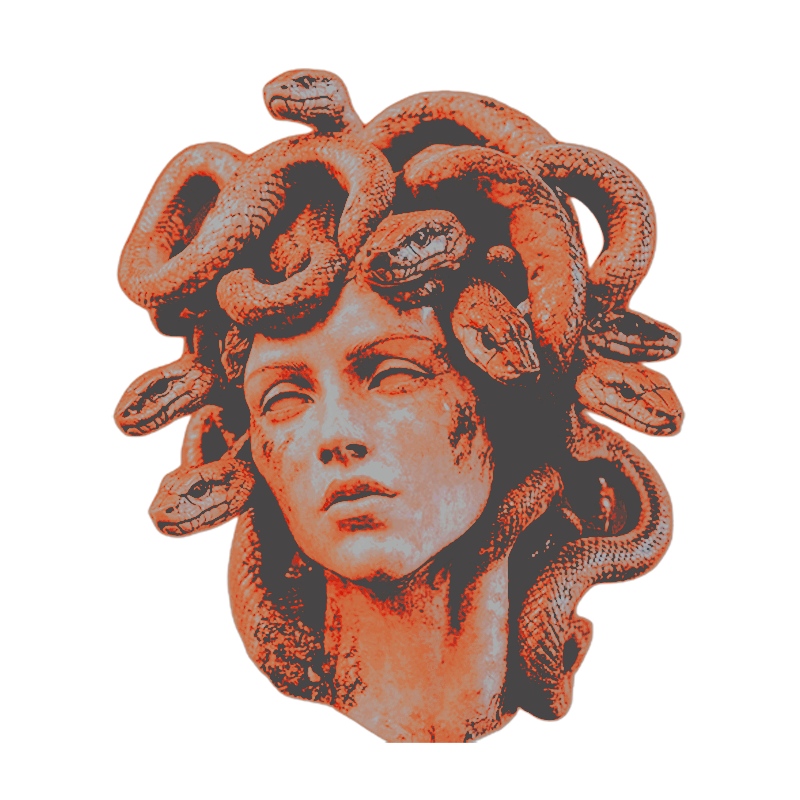 ᅠᅠᅠᅠ⊹ ꯭𓆓 ᎩᎯᏓᏋᏁ ◜ ͡ ֪ ᅠᅠᅠᅠ tweet media