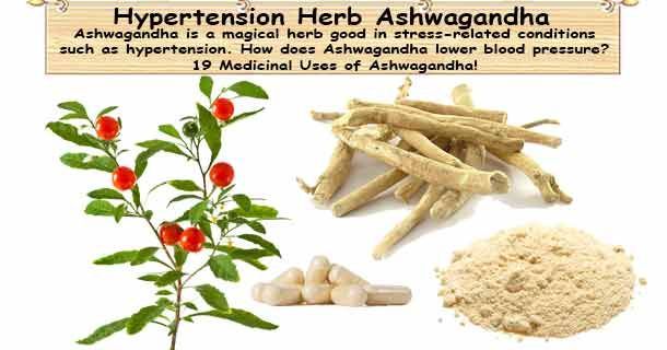 healthyojas's tweet image. Hypertension Herb Ashwagandha buff.ly/EKPQZXg #Hypertension #BloodPressure #Herb #Ashwagandha