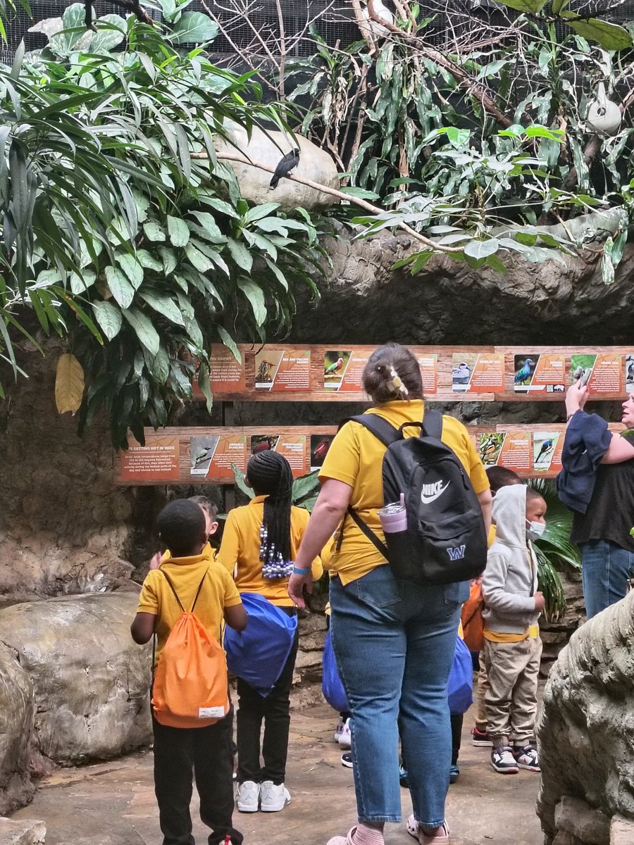 Whitehaven Elementary STEM School tweet media