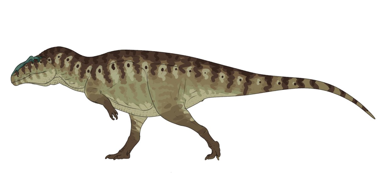 PaleoFragilis43 (open commissions) tweet media