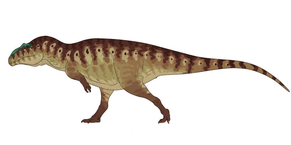 PaleoFragilis43 (open commissions) tweet media