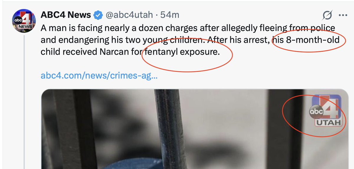 Zilra Glig 🇺🇸 tweet media