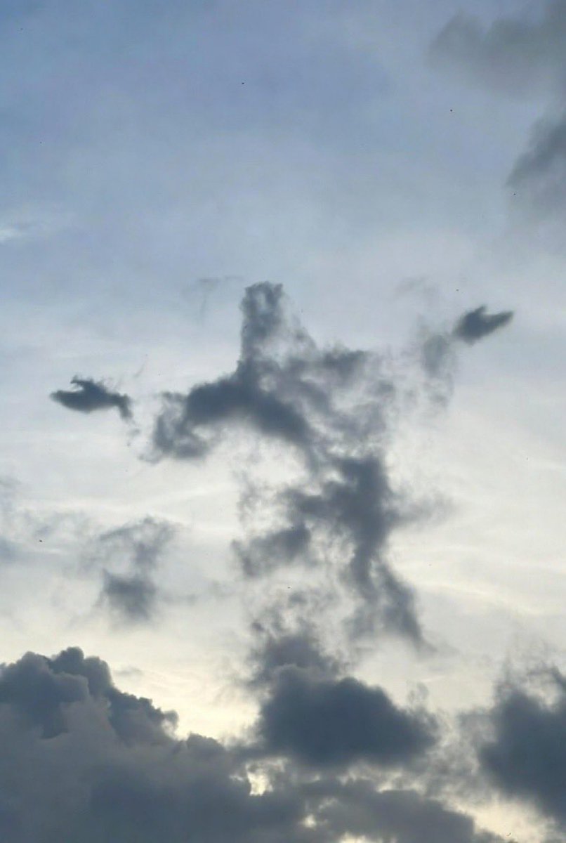 SIFON PATRICK tweet media