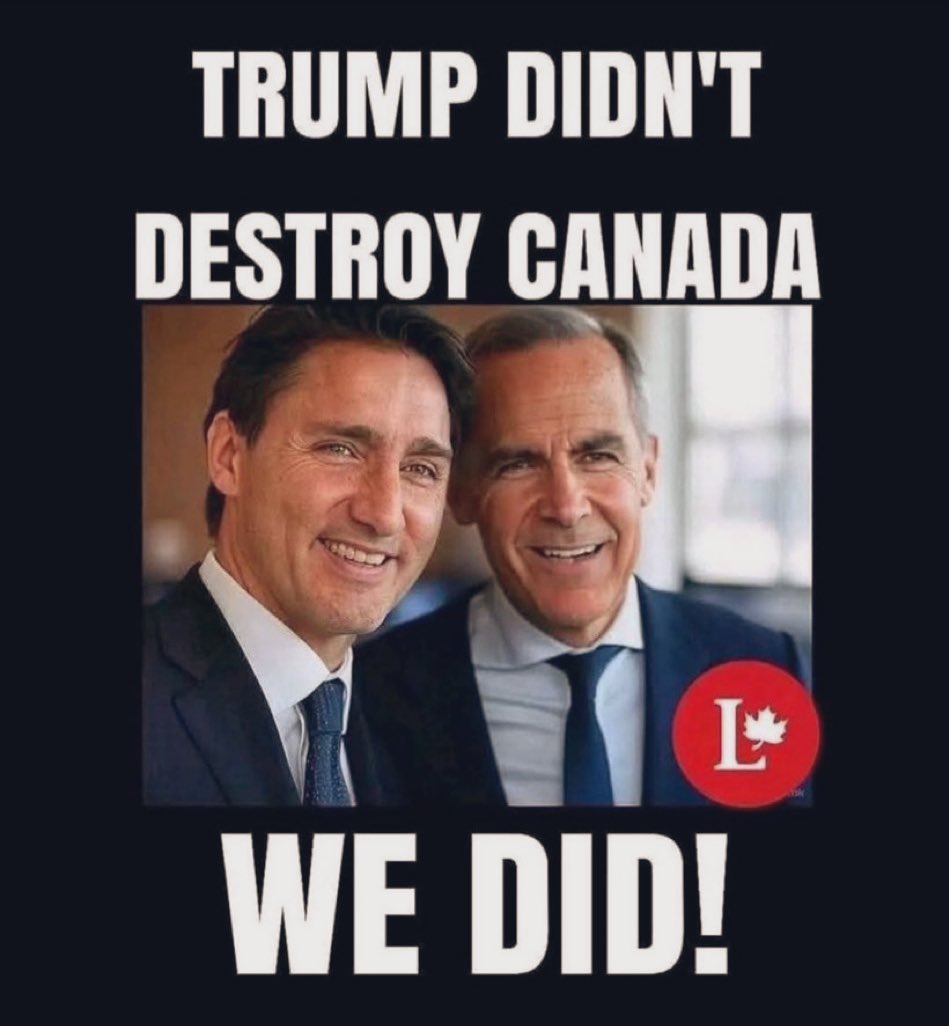 wealthmoose tweet media