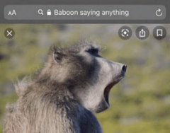 Viktor 🇦🇷 tweet media