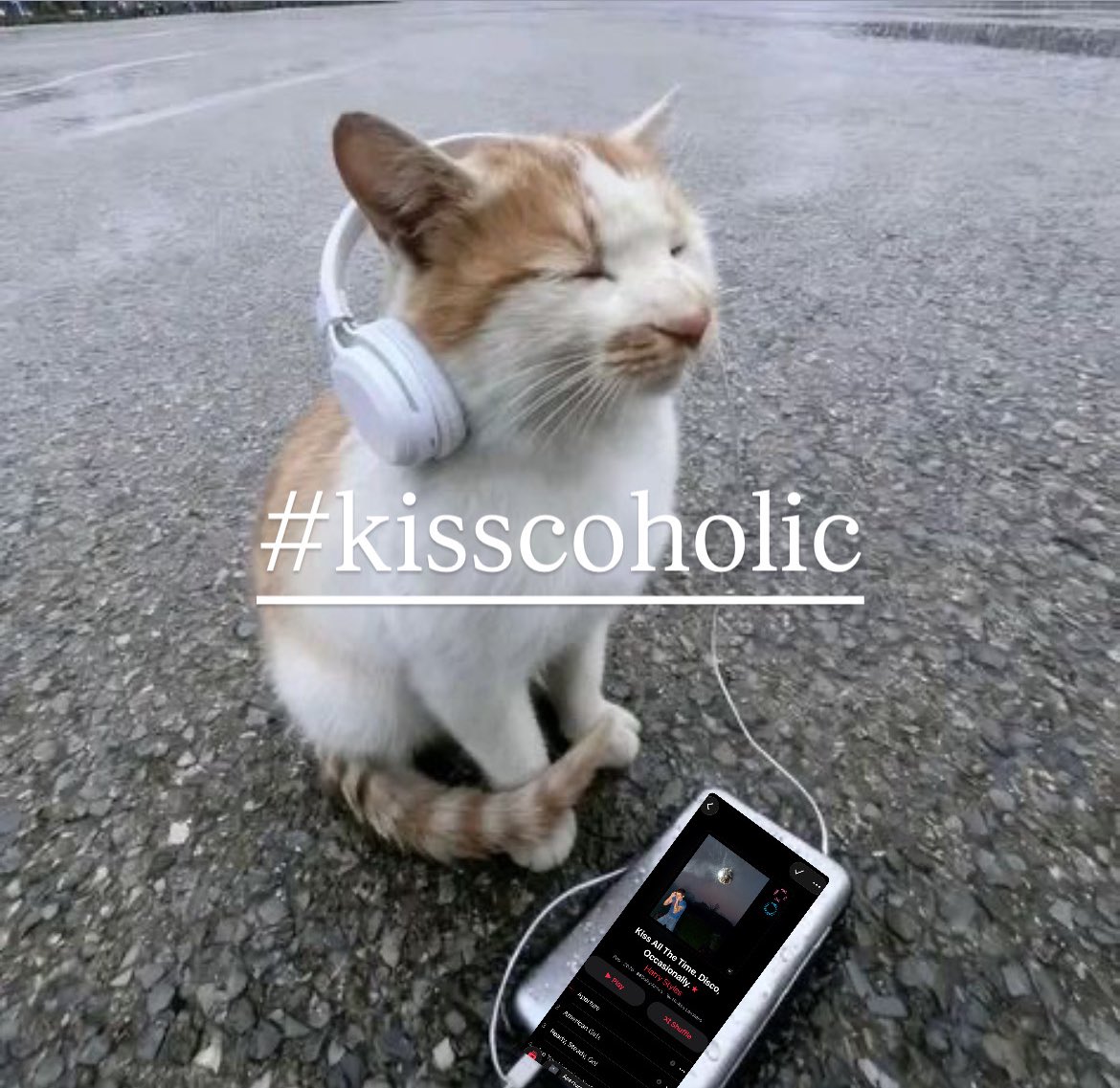 han 🪩 tweet media