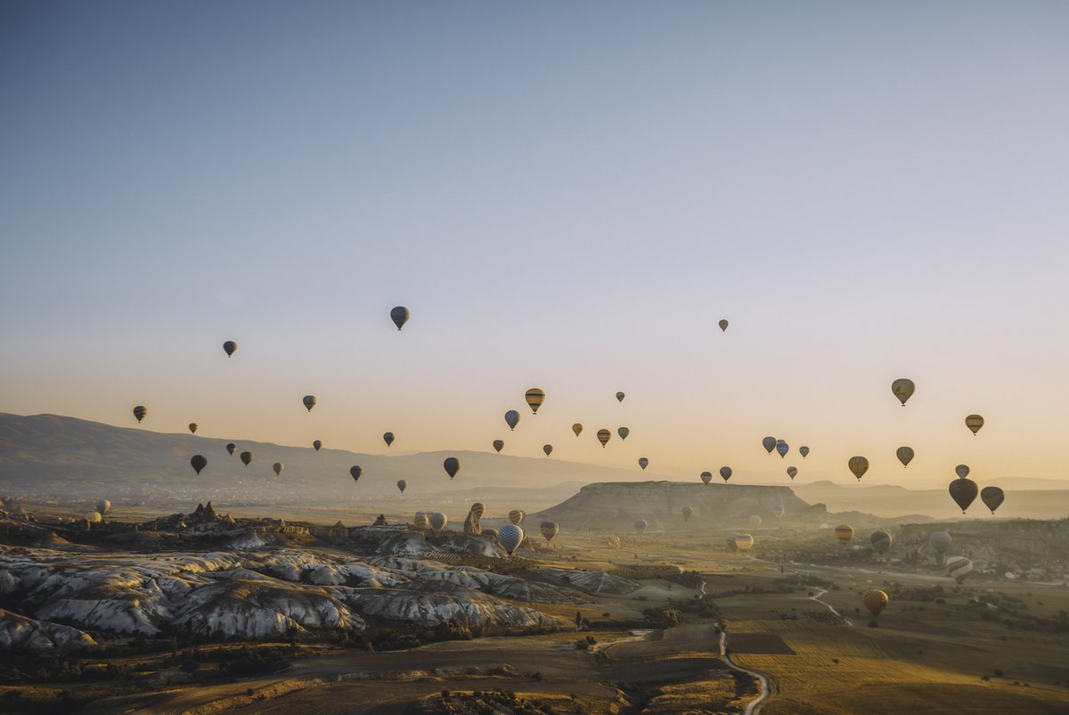 サンディスク tweet media