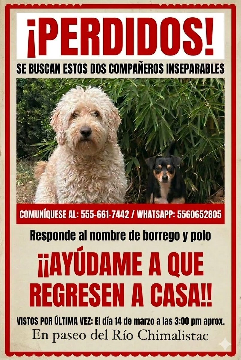 Mayú Guillén 🇲🇽🇺🇦 tweet media