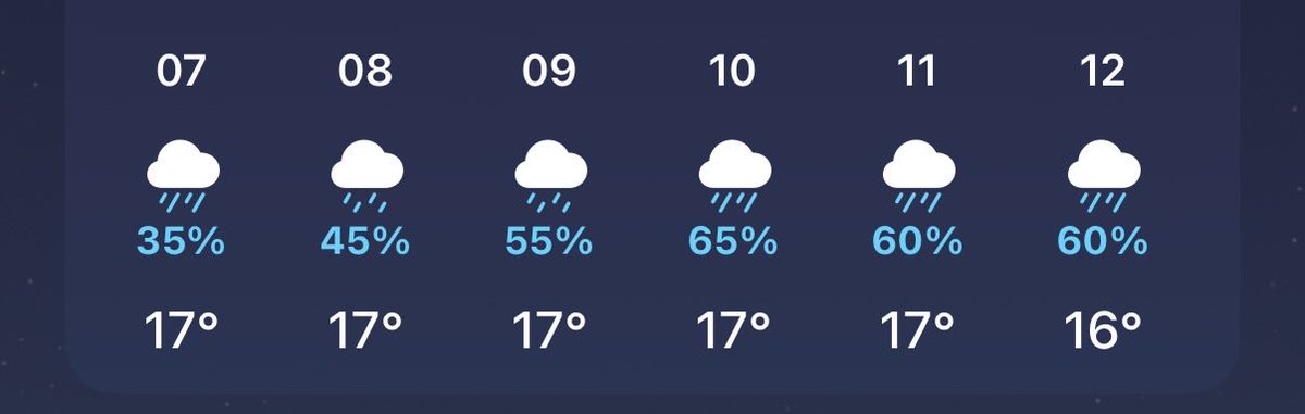 ecHo🪷 tweet media