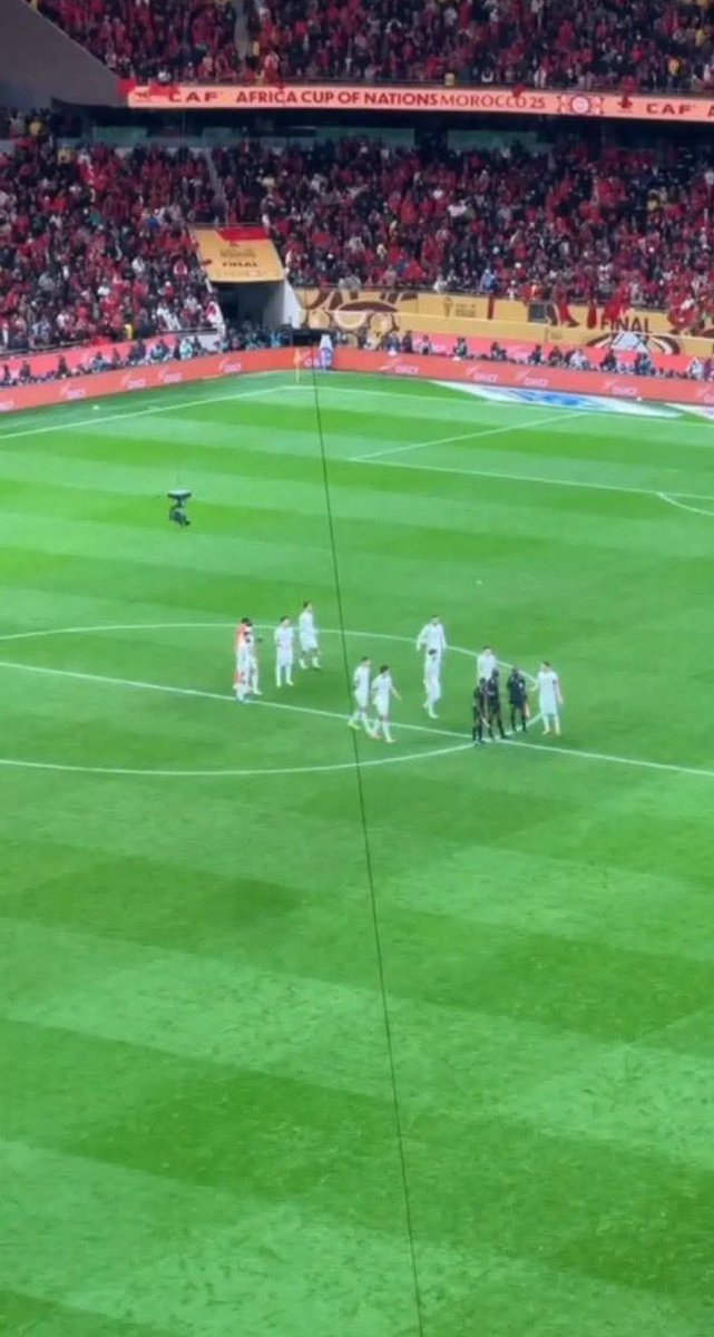 M.haddour tweet media