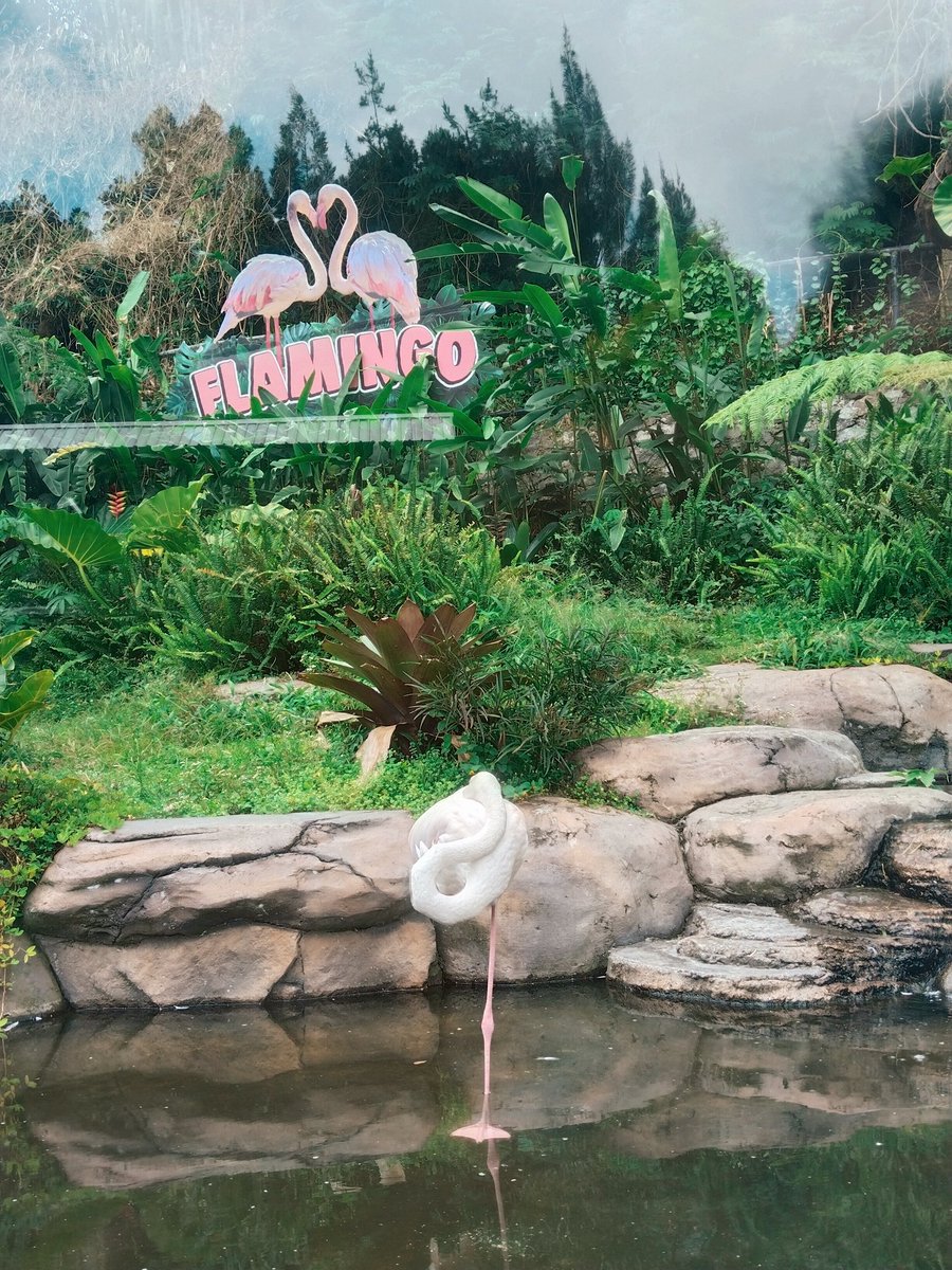 🍀ke Bioskop nonton NaWilla!!!!!🍀 tweet media