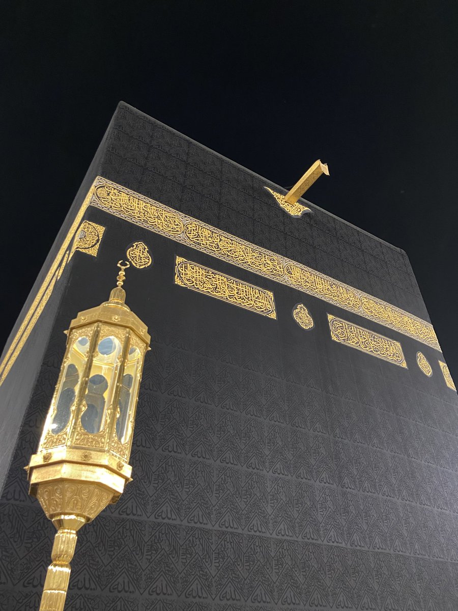 esra🪽 tweet media