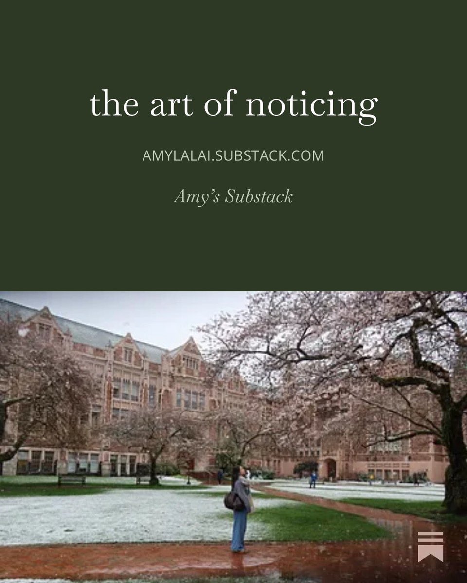 wrote a little something on the art of noticing. also on creating for play, choosing a creative career, and slowing down. read it here: substack.com/@amylalai/note…