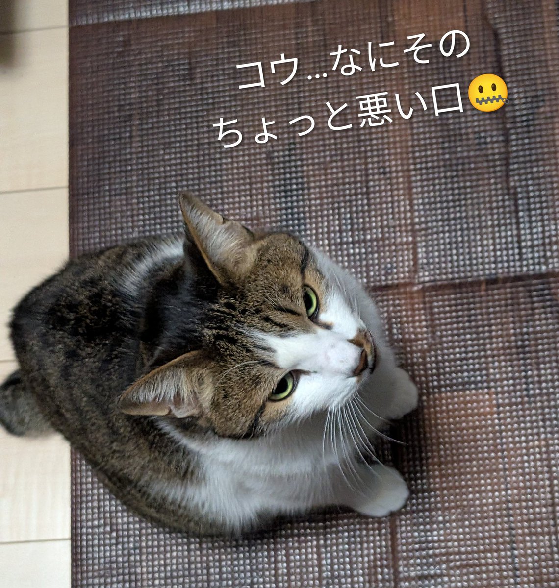 えびみ tweet media