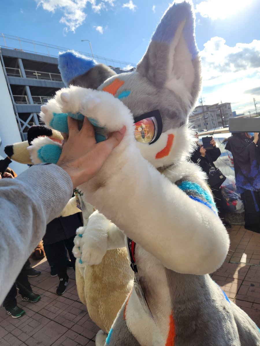 もふてとら! tweet media