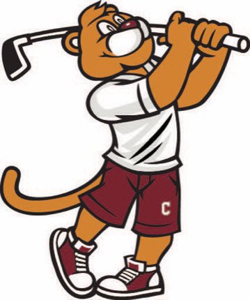 Corbin Sebens tweet media