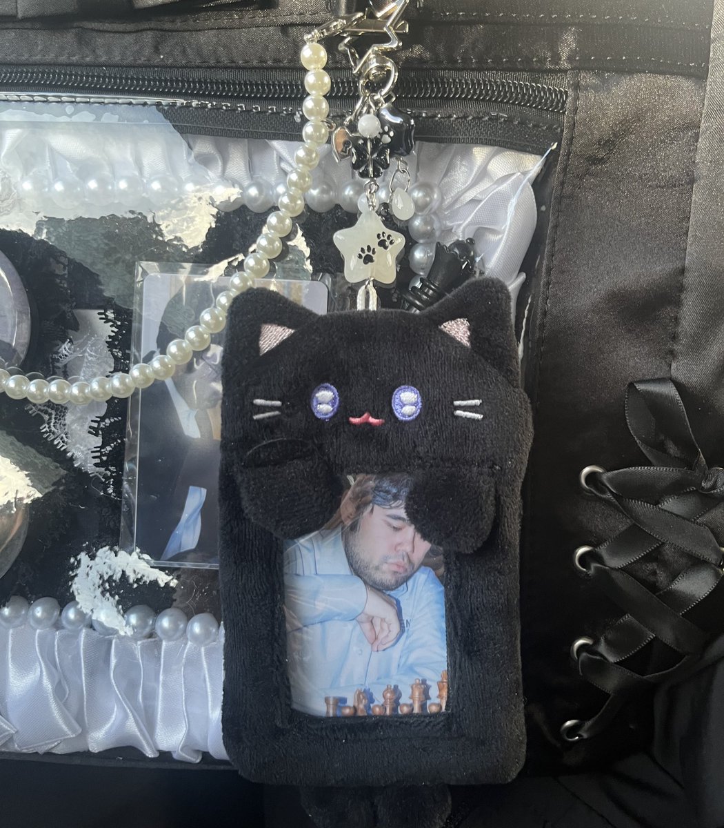 aster 🐈‍⬛ tweet media