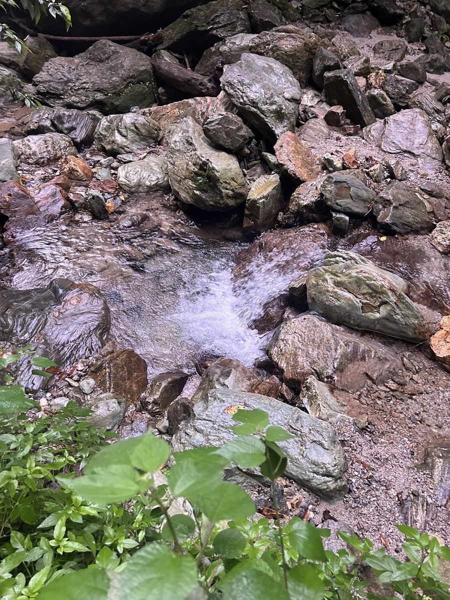 蒼龍大叔 tweet media