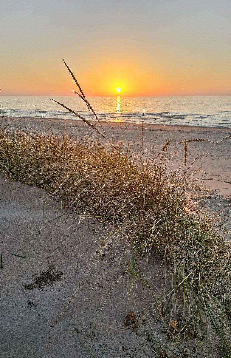 CJ Howard tweet media