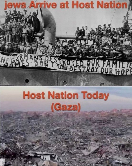 The Xenophobic Engineer tweet media