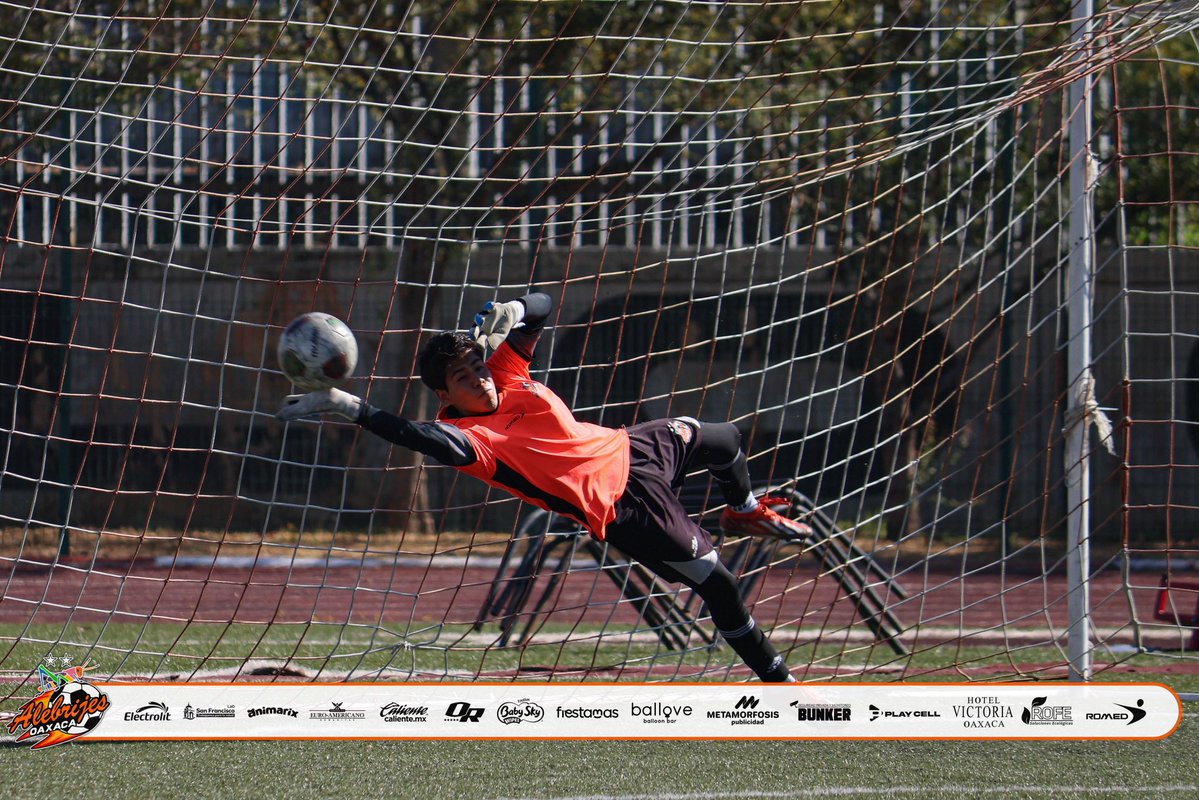 Alebrijes Oaxaca TDP tweet media