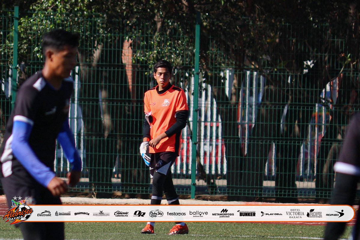 Alebrijes Oaxaca TDP tweet media