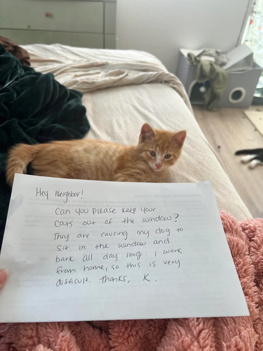 Liberta Cherguia 🇪🇺 tweet media