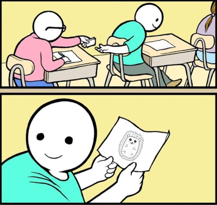 Fluffy Hedgehogs 🦔 tweet media