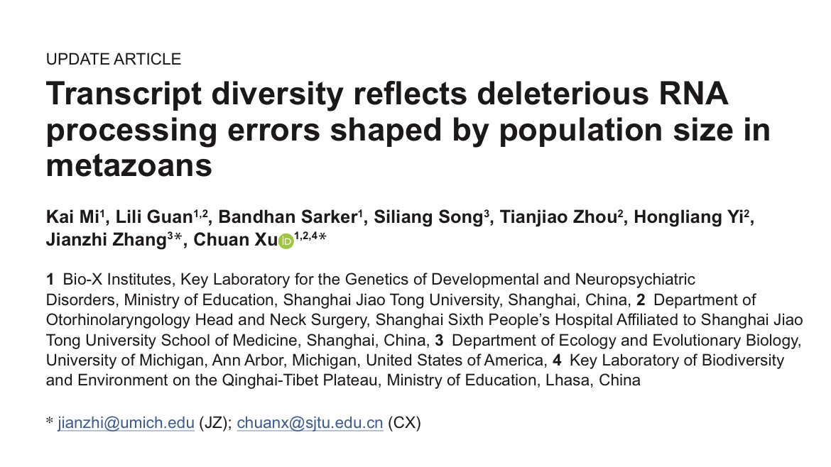 Odoreida tweet media