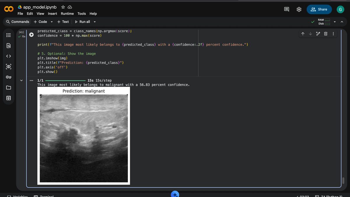 Ghaziah Shoeb tweet media