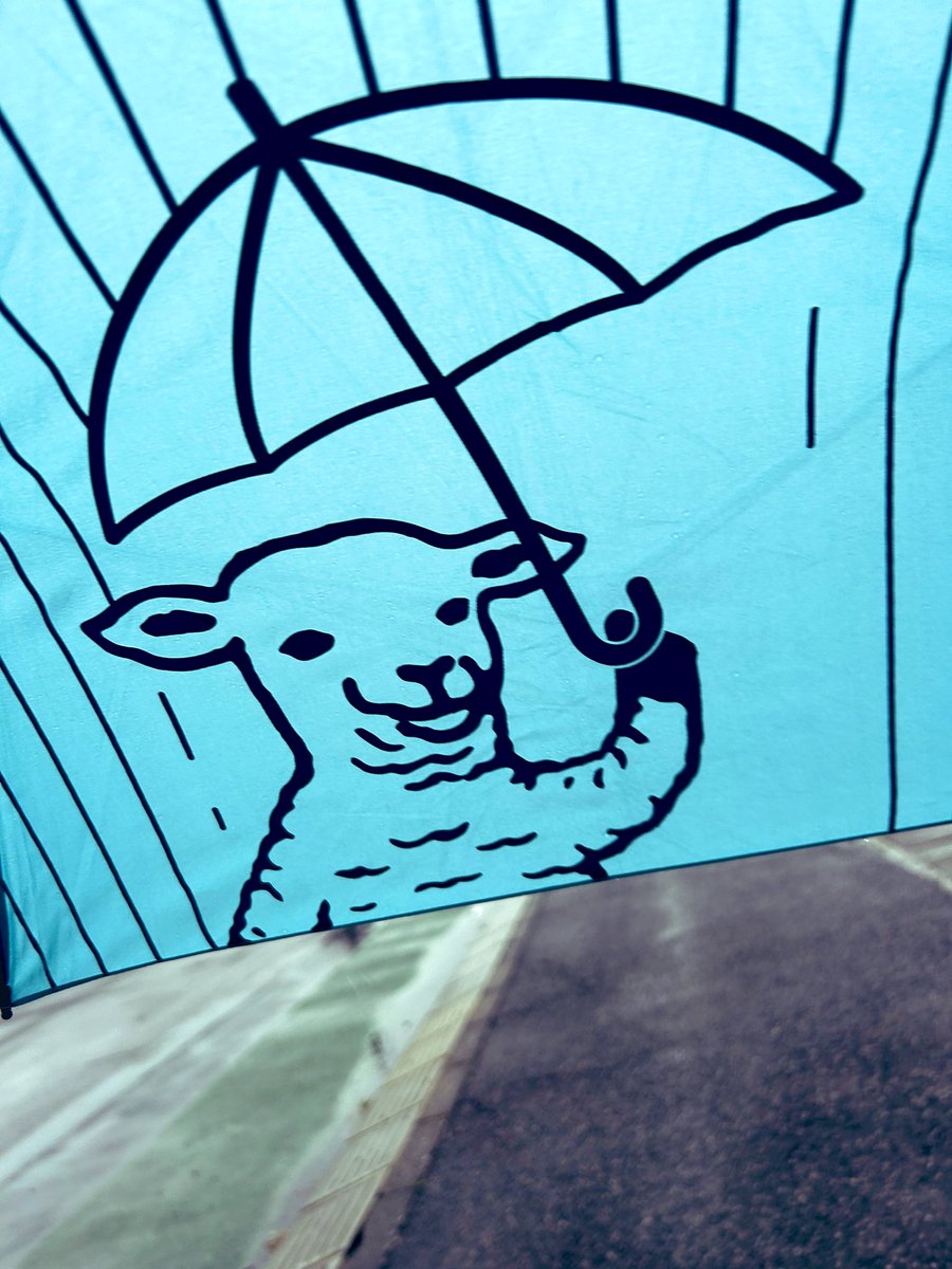 カワモトタカユキ tweet media