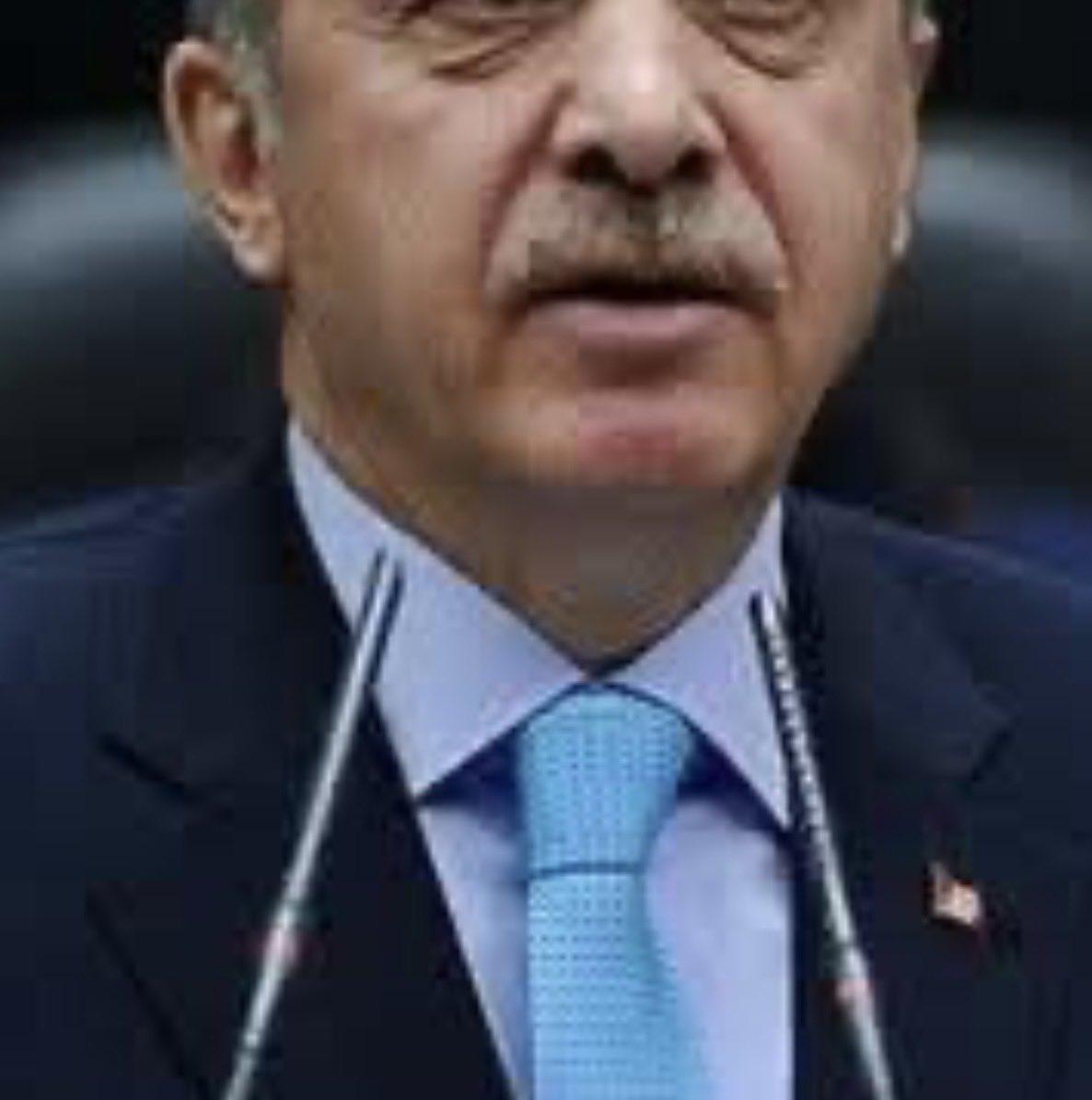 FATMA BARIŞ EFE tweet media