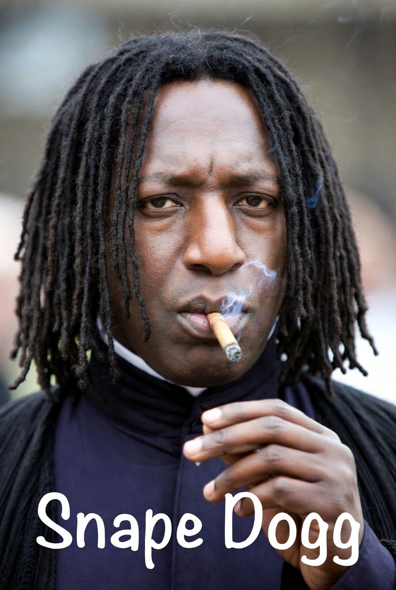 Hoshi_Toranaga 🇦🇹 🇺🇸 tweet media