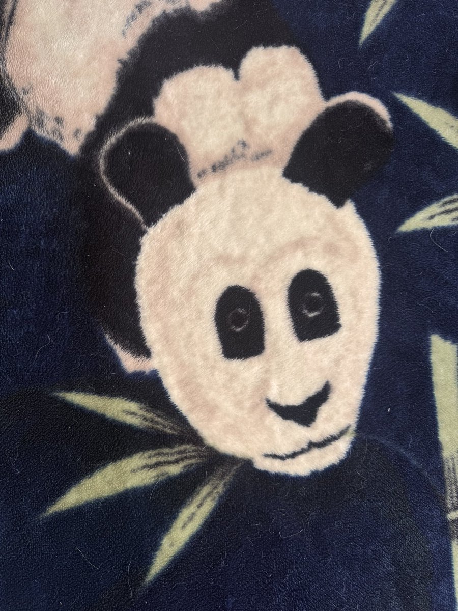 Soy un mango tweet media