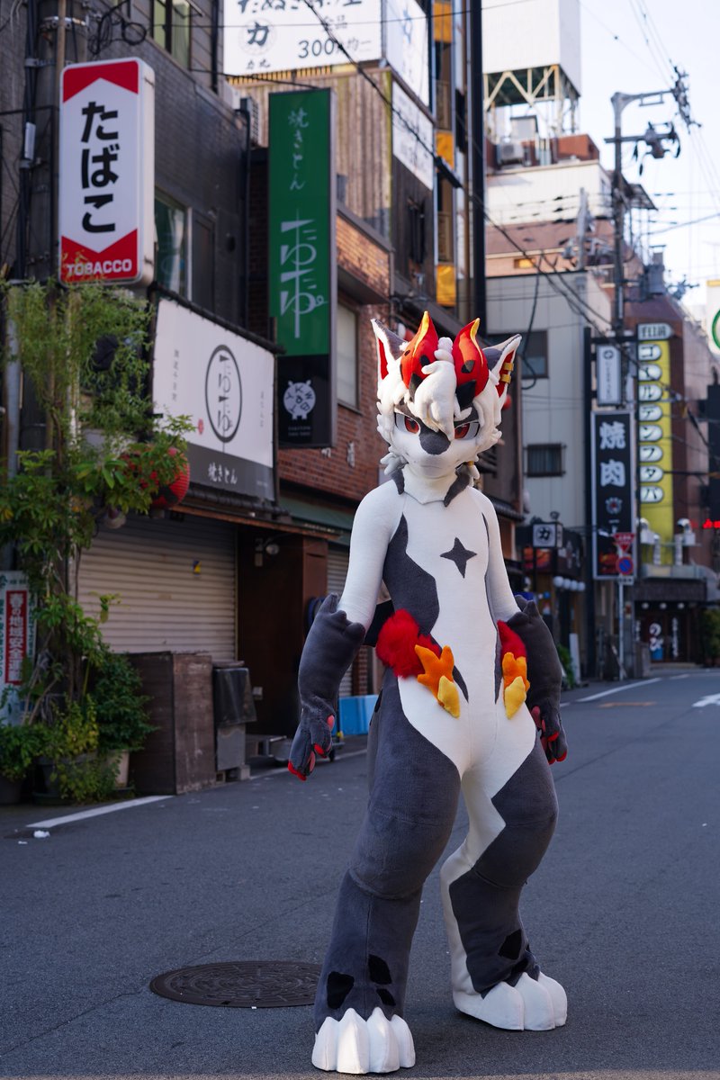 Inu (零犬) tweet media