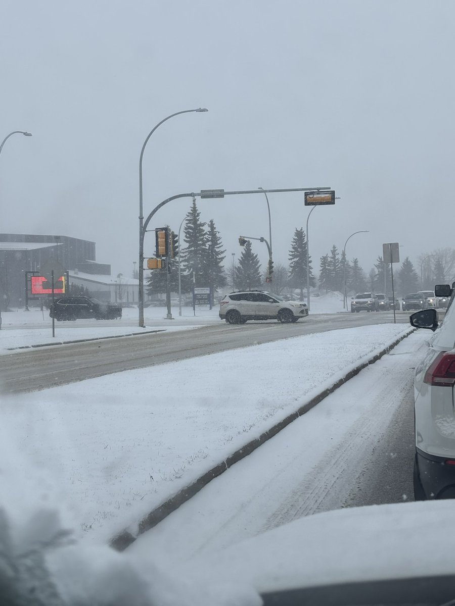 Blonde Bigot tweet media