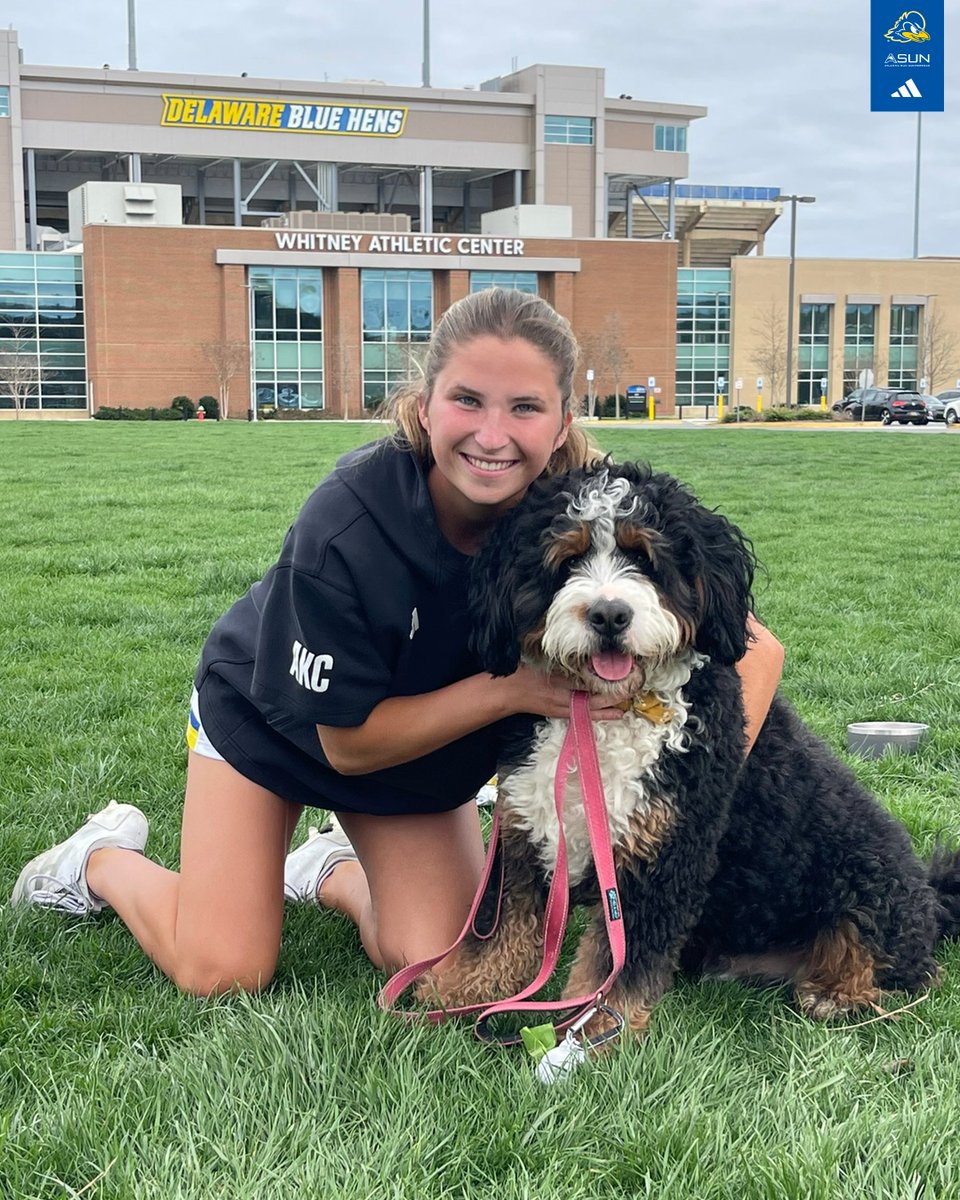 Delaware Women's Lacrosse tweet media