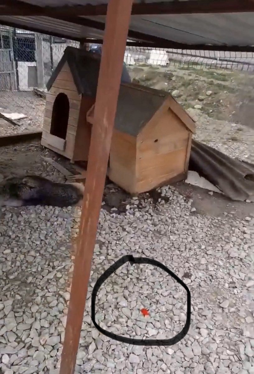 Serap Ulusoy 🦋 tweet media